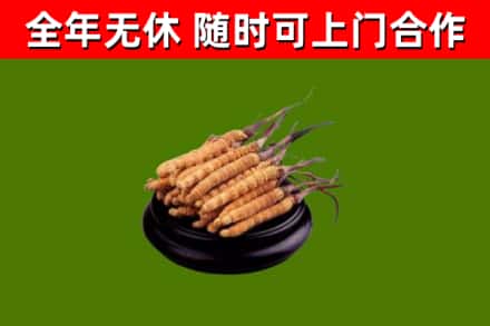 东辽回收冬虫夏草