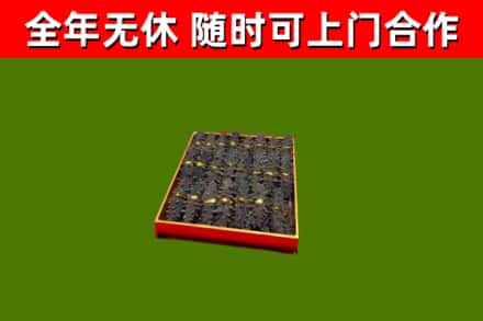东辽回收海参